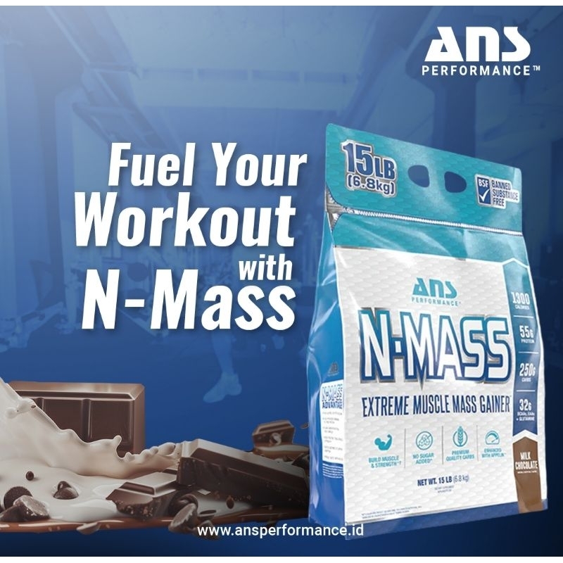 ANS N-Mass
