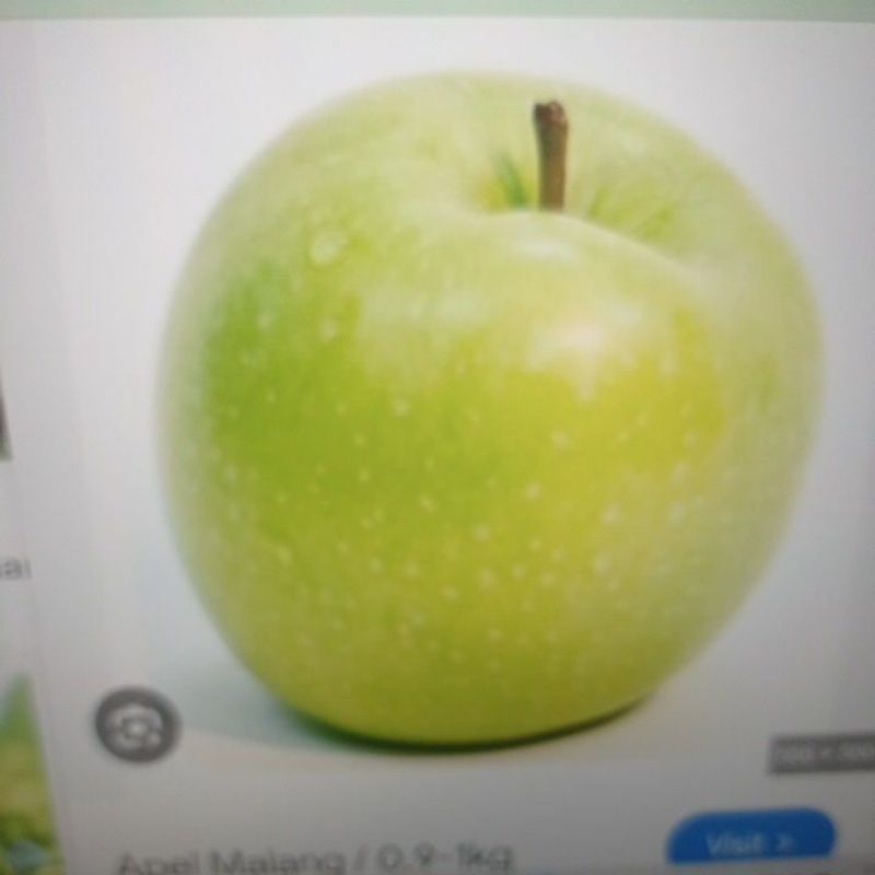 

Apple Malang