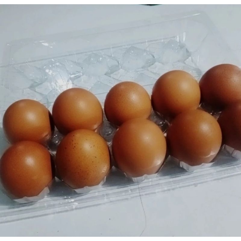 

Telur Ayam Negri fresh ( per 10 butir ) free ongkir