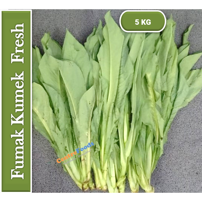 

FUMAK Kumak - Sayur Kumek Fresh | 5 Kg [ Harga Per BKS ]