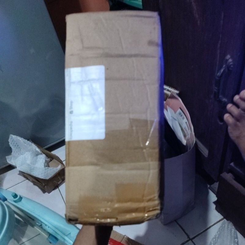 

belalang goreng