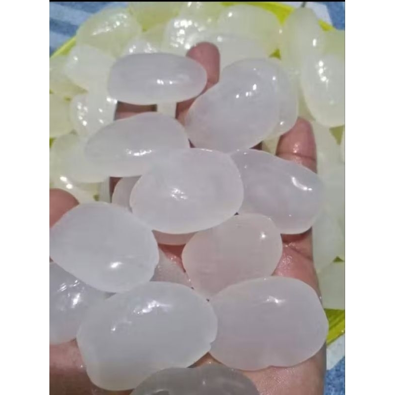 

Kolang Kaling kenyal / biji kolang Kaling 500 Gram 1 Kg
