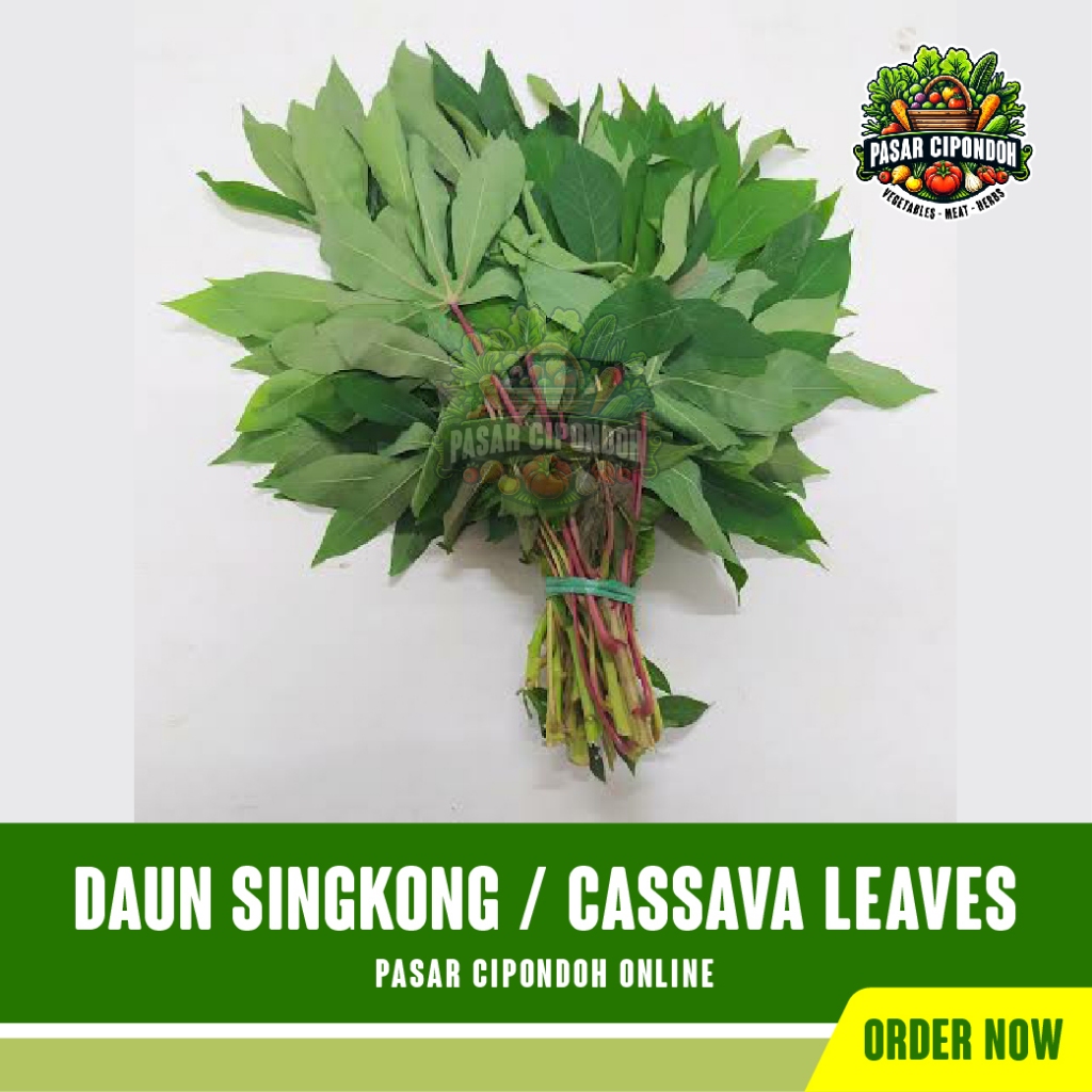 

Daun Singkong Segar Organik 1 Ikat / Cassava Leaves - Pasar Cipondoh Tangerang