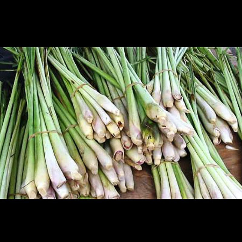 

1 KG Serai Wangi