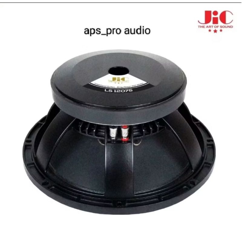 SPEAKER JiC 12" LS12075