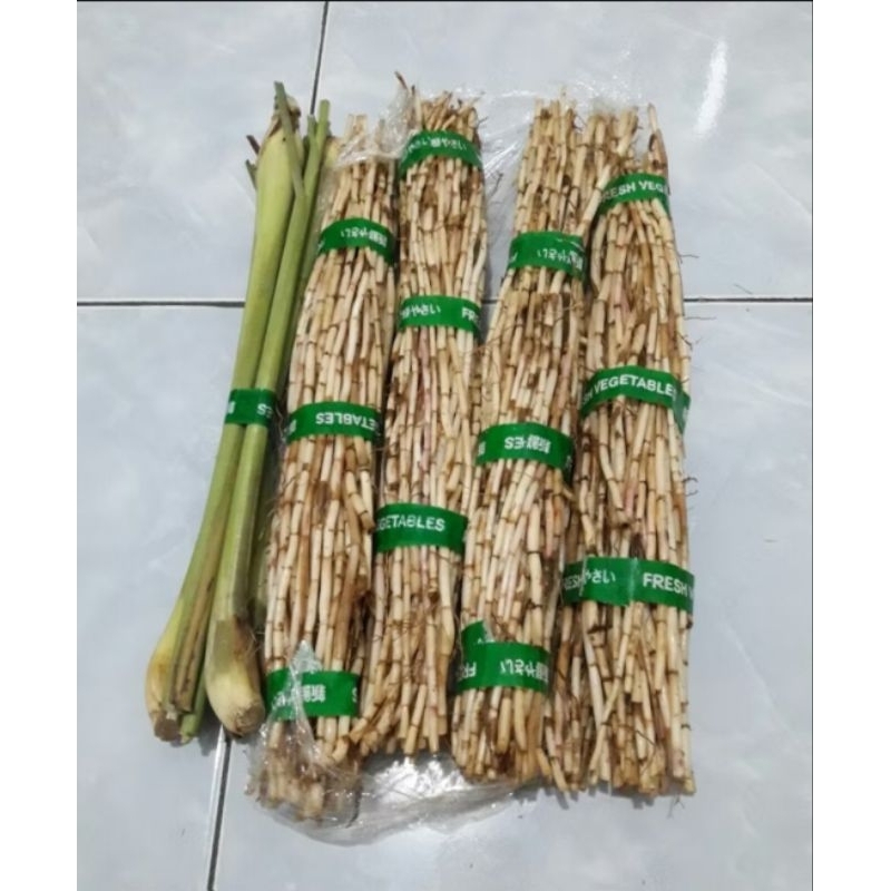 

akar alang alang segar 250 gram