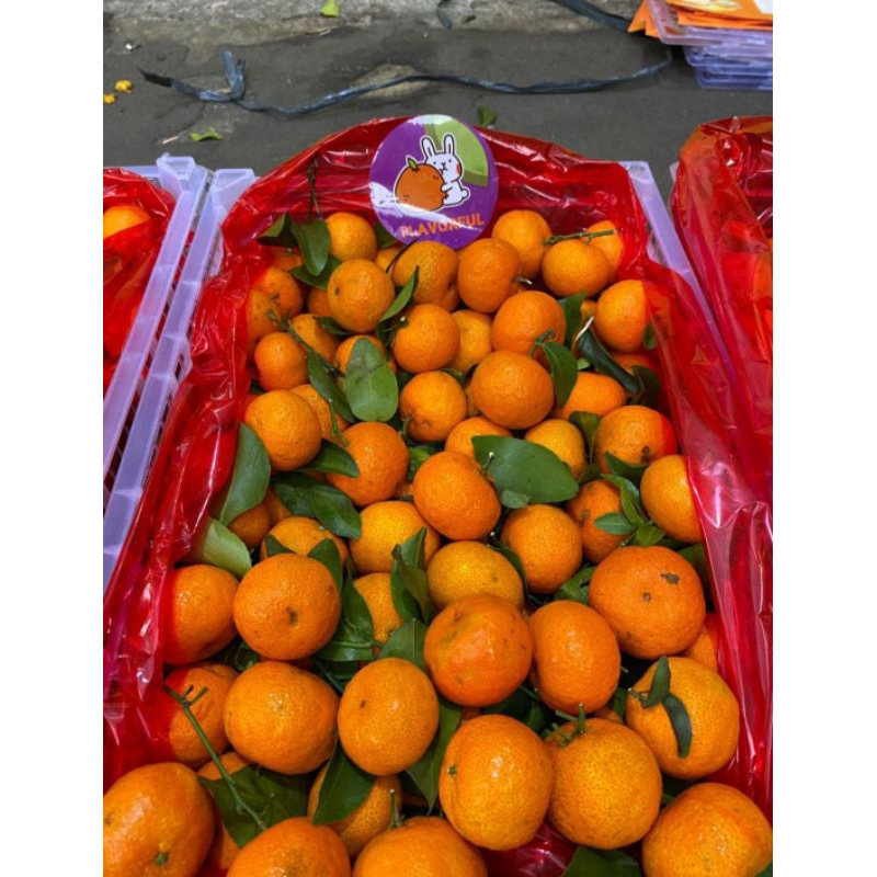 Jeruk Santang Madu 6 kg 1 keranjang Jeruk kecil jeruk Mandarin