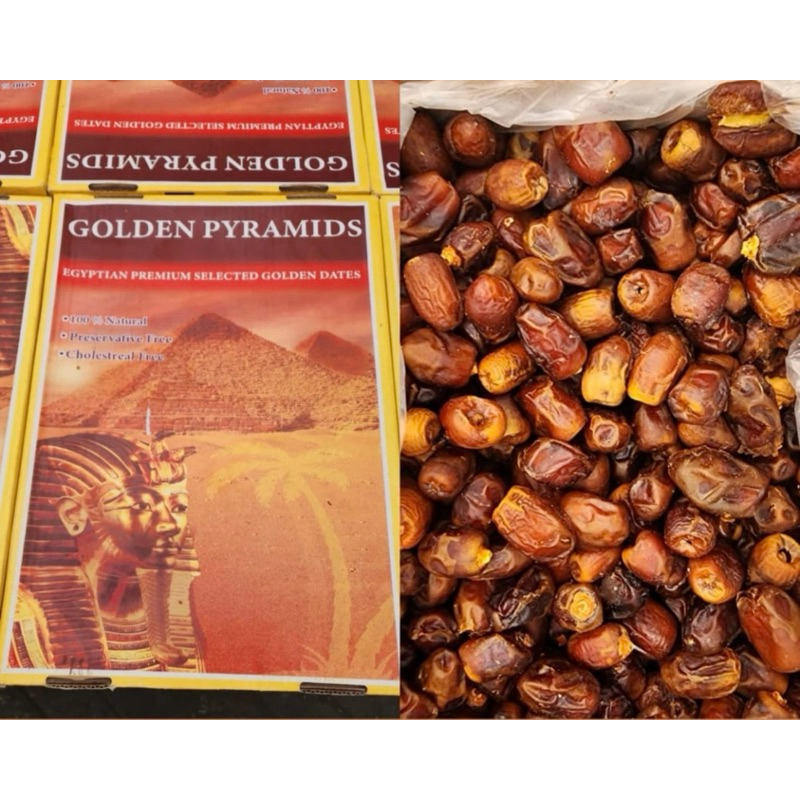 

kurma golden piramida