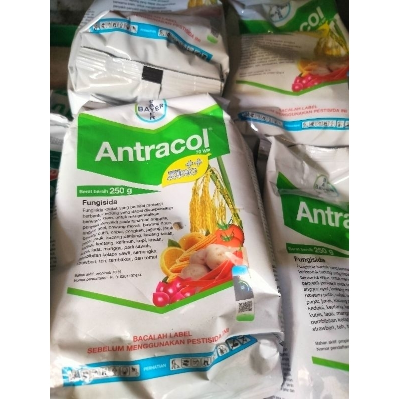 obat pertanian fungisida Antracol 250gr
