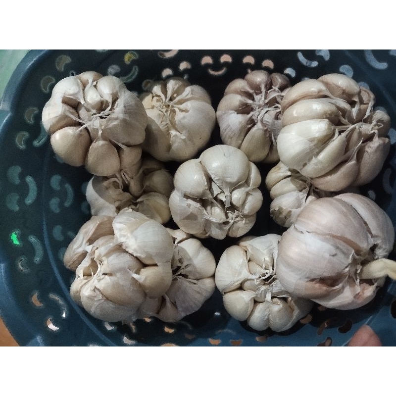 

Bawang Putih Murah