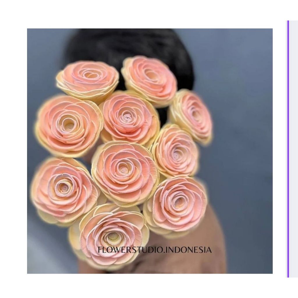 Ranunculus Flowers/ Bunga sola/Sola Flower/ Bunga Ranunculus/ Bunga Ranunculus Sola/ Bunga sola wood