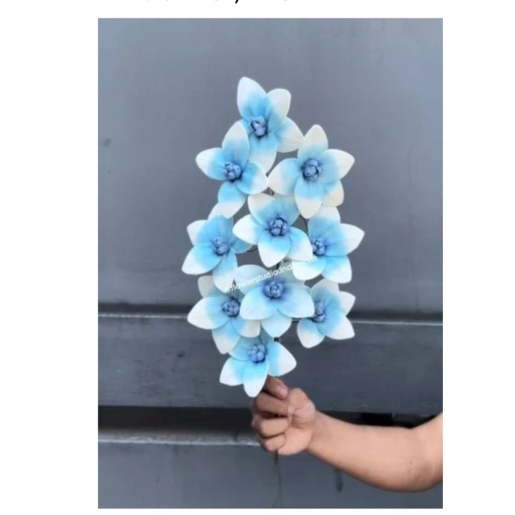 Cymbidium Flowers/Bunga sola/ Sola Flower/ Bunga Cymbidium/ Sola flower diffuser/ Bunga sola wood/ S