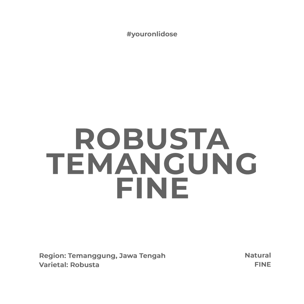 

ROBUSTA TEMANGGUNG FINE - GREEN BEAN