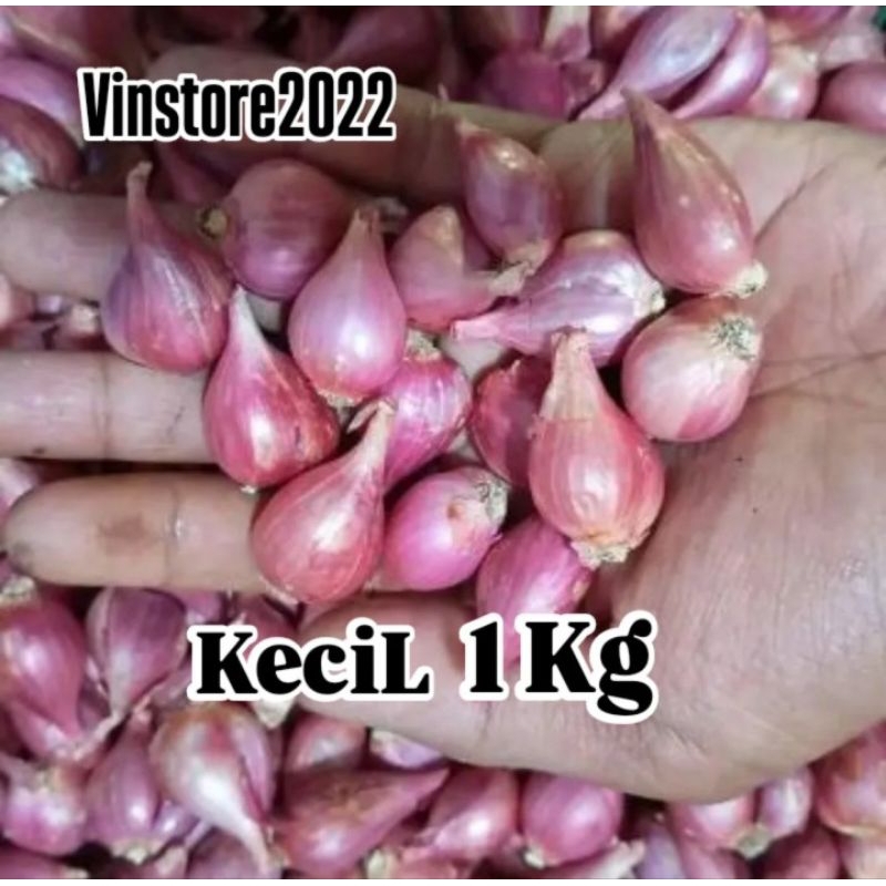 

Bawang Merah KECIL asli Brebes 1 Kg super murah meriah asli Brebes