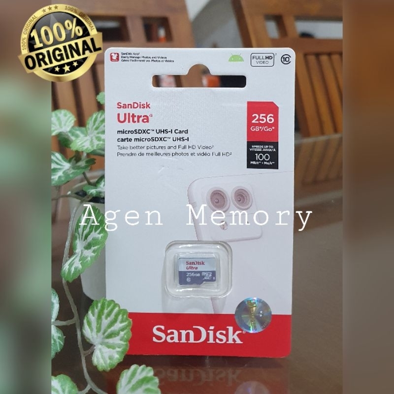 Memori card Micro SD Sandisk 256gb 100mb