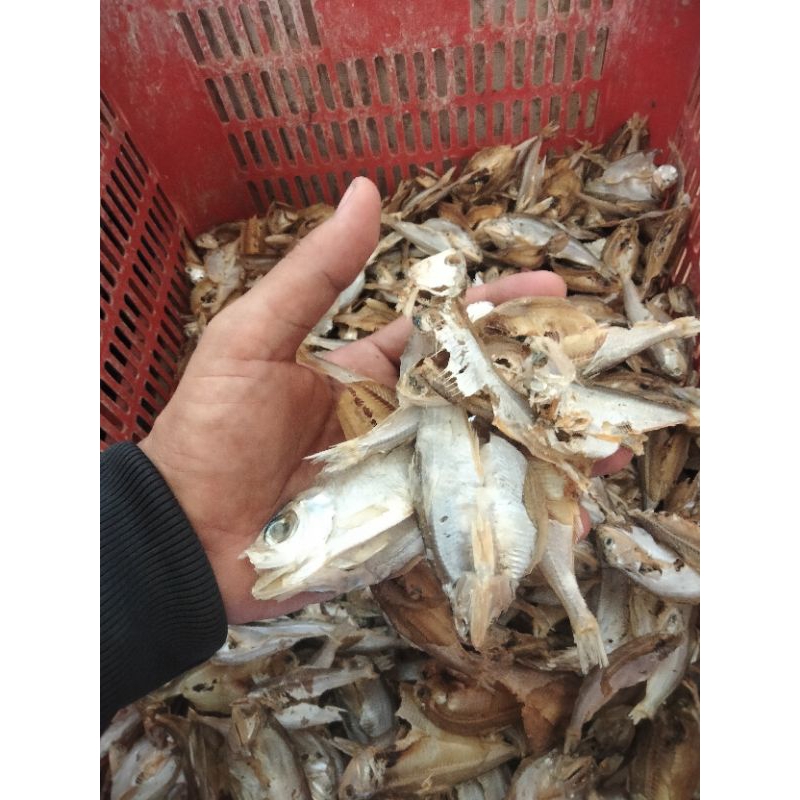 

Ikan Bilis Kecil (anakan bilis) Kering Tawar