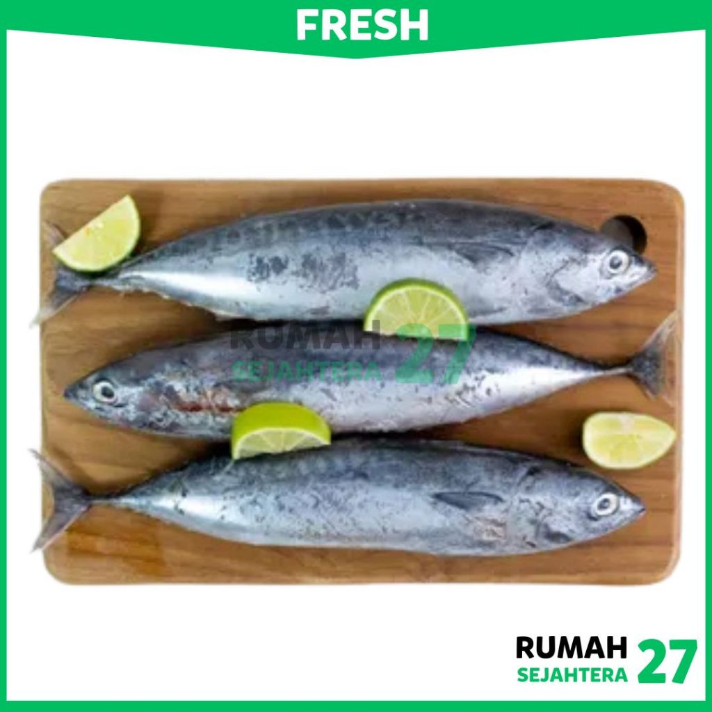 

KIRIM INSTANT DEPOK Tongkol Fresh Frozen Beku 1 Kg