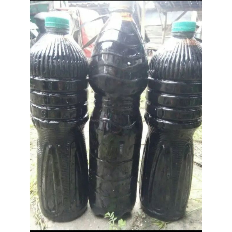 MOLASE TETES TEBU ASLI