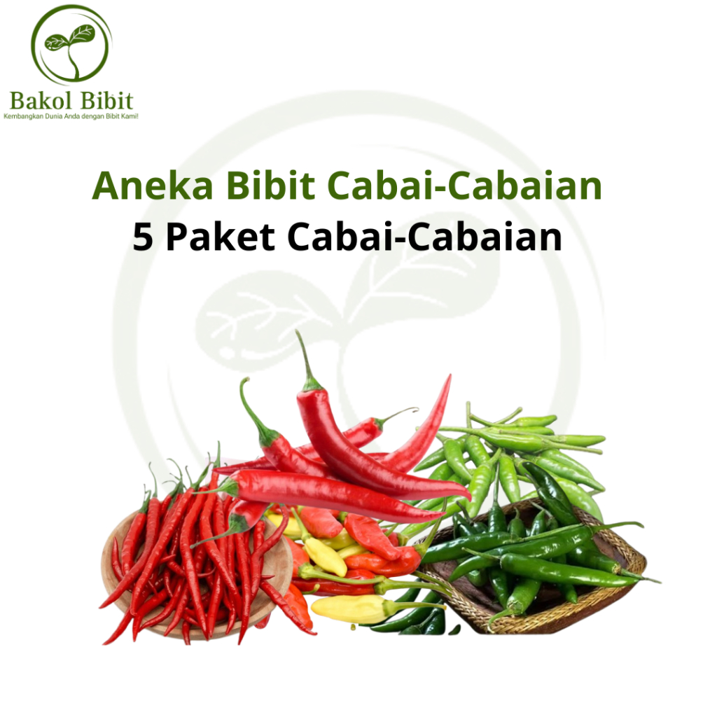 

BAKOL BIBIT-Paket Bibit Cabai- 5 Macam Bibit Cabe Konsumsi Cabe Sambal