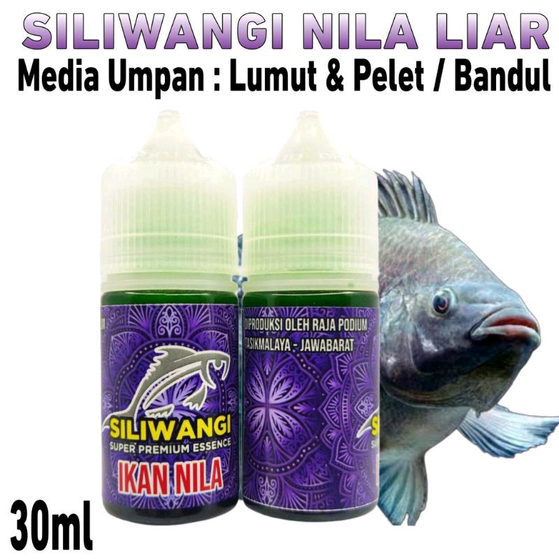 Essen Ikan Nila Paling Gacor Media Umpan Lumut, Essen Ikan Nila Paling Ampuh -391