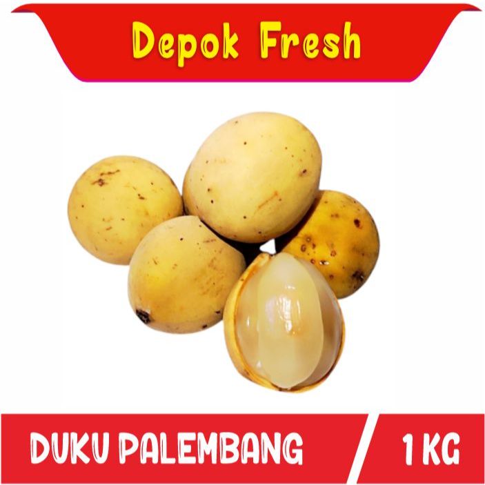 

BUAH DUKU PALEMBANG MANIS DAN SEGAR