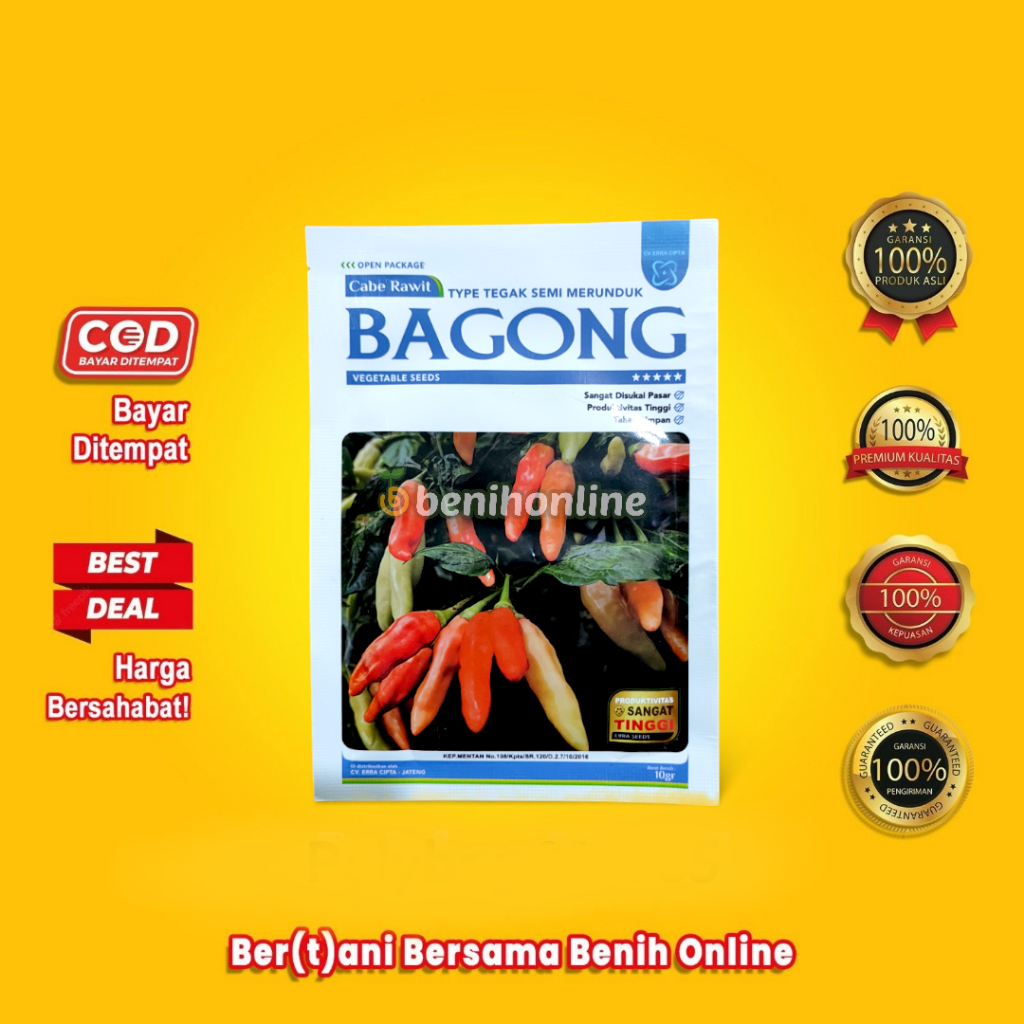BENIH CABAI RAWIT BAGONG 10 GRAM Tipe Tegak Semi Merunduk