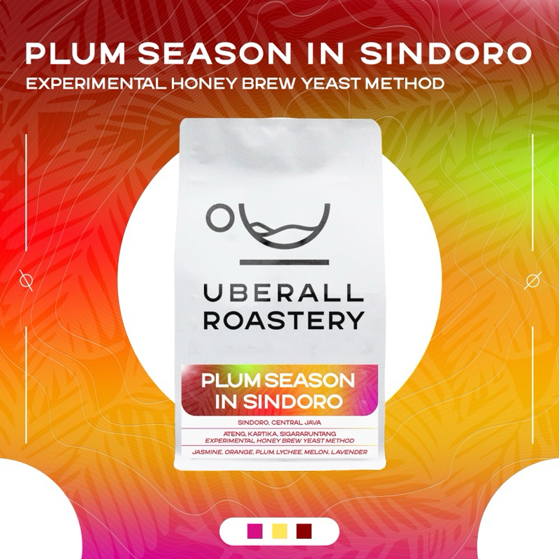

Kopi Arabika Plum Season in Sindoro (Experimental Honey Brew Yeast Method) Uberall Roastery