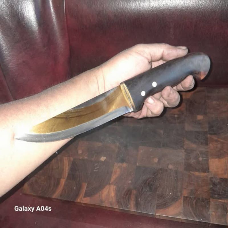 pisau seset iris daging hss julia dm05 original italy  pb13cm