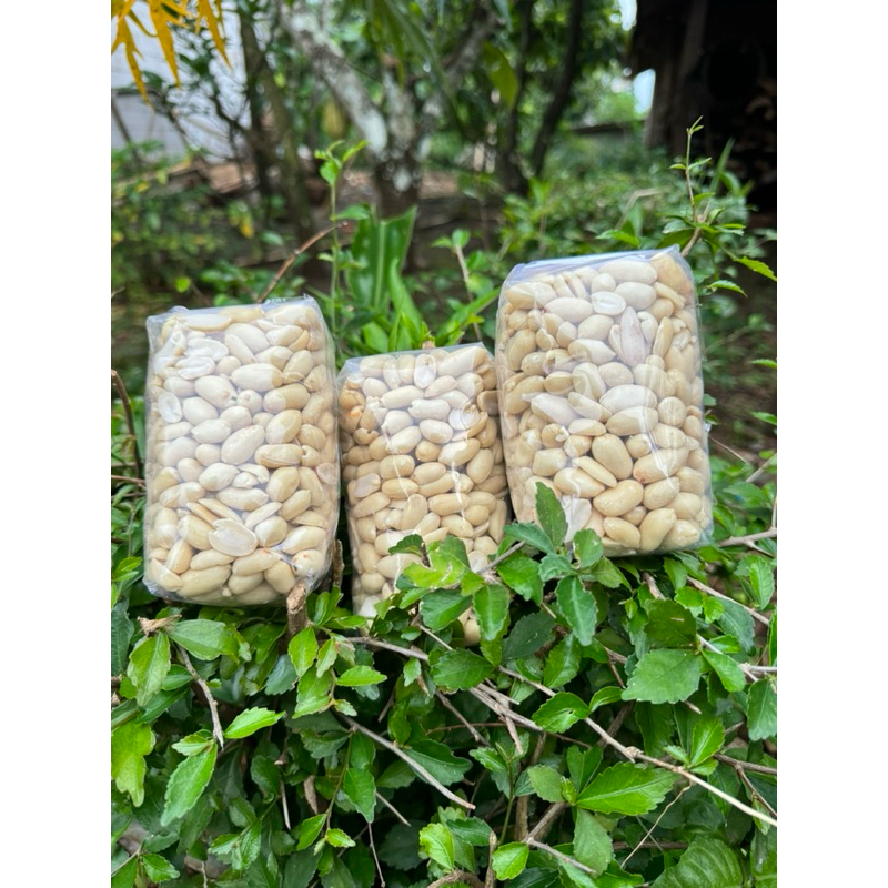 

Paket 3 pack kacang tanah kupas premium berat total 1050gram