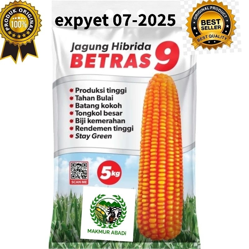 benih jagung betras 9