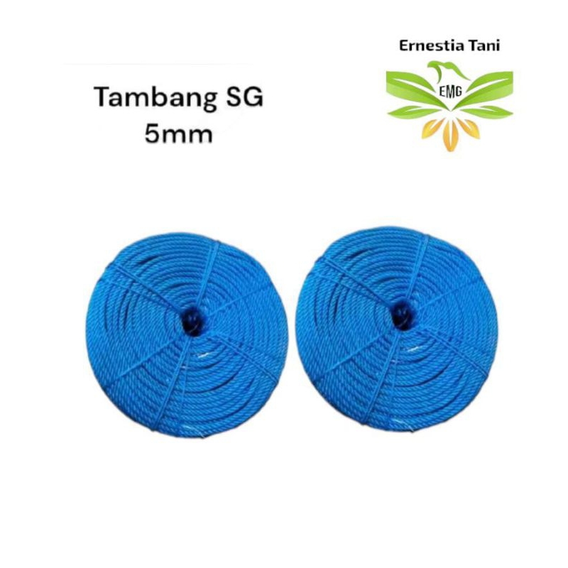 

Tali Tambang 5 mm 1 kg Tali Tampar/ Tambang Plastik Warna Biru