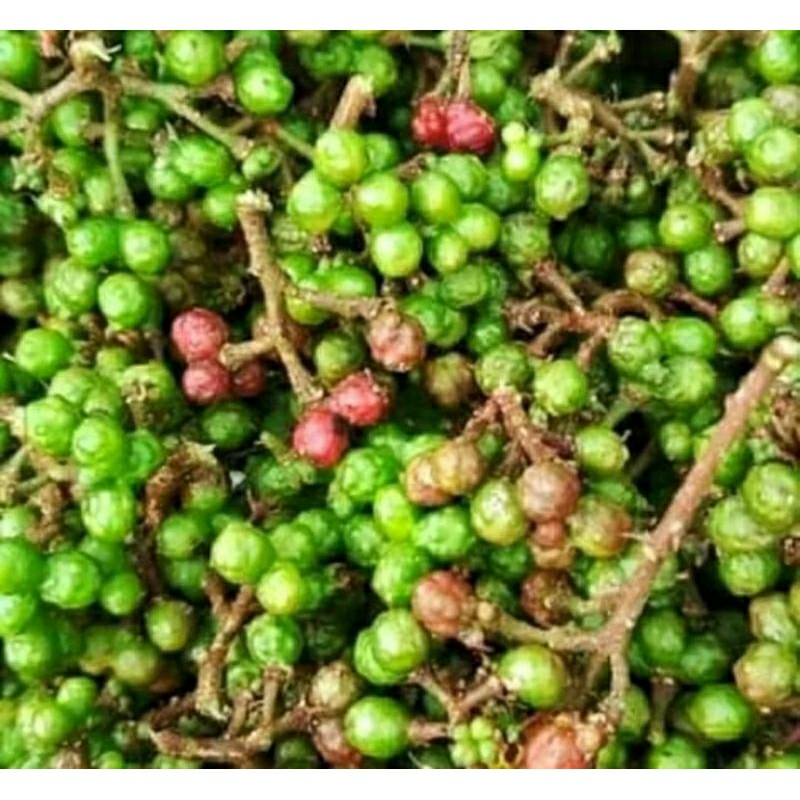 

Andaliman Parsoburan