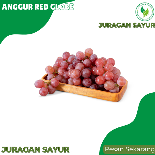 

Anggur Red Globe Super - Anggur Red Globe Manis - Juragan Sayur