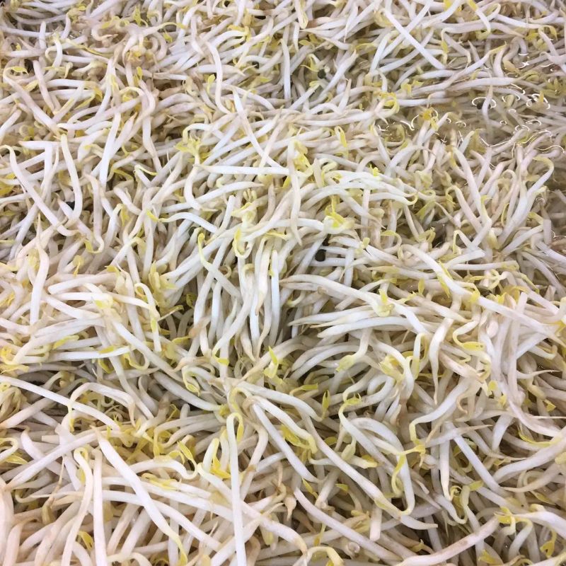

TAUGE PANJANG SEGAR 250gr-1kg gr