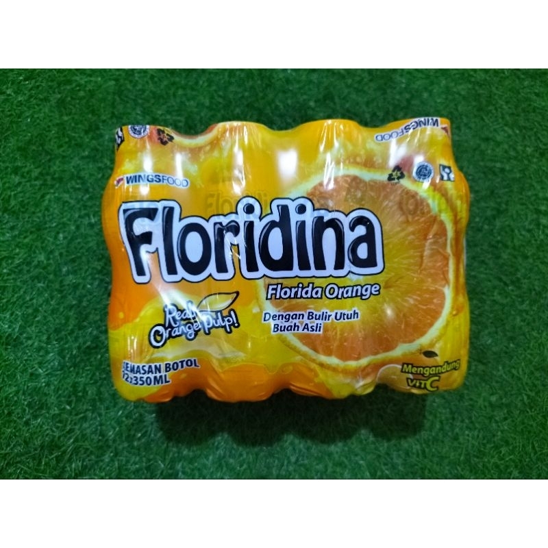 

PROMO Minuman Floridina Orange 350 ml Isi 20 Pcs Harga Hemat!!