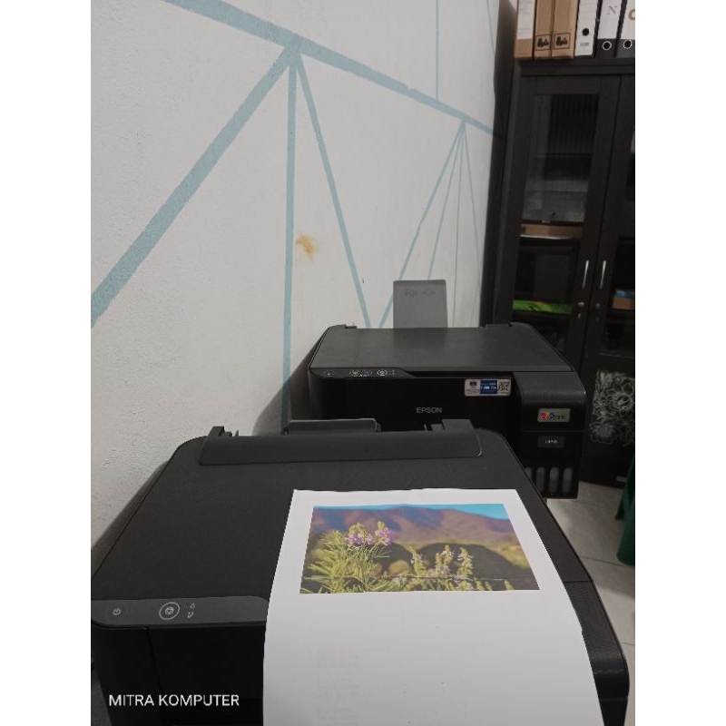 Printer Epson L1210 Print saja
