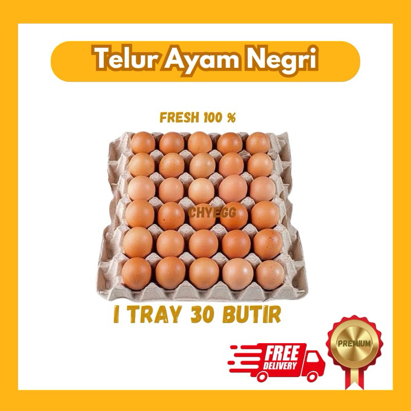 

TELUR AYAM NEGRI SATU TRAY 30 BUTIR