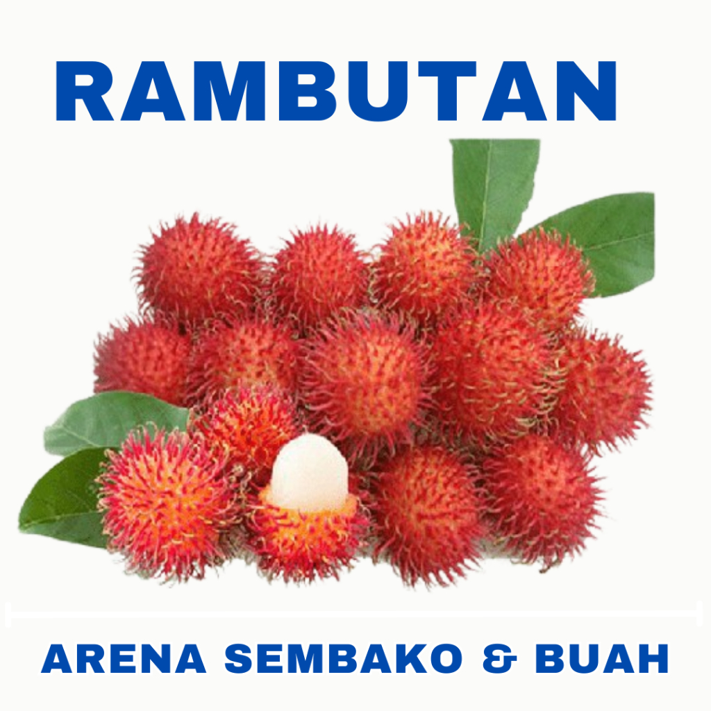 

(BISA COD) PROMOO RAMBUTAN 3 IKAT 1KG ARENA BUAH CIKARANG