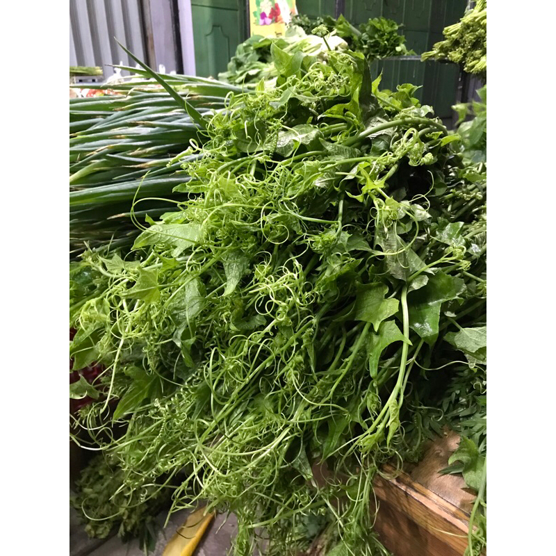 

Daun pucuk labu 200 Gram