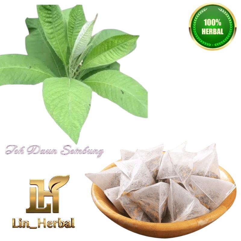 

Teh Daun Sembung-Teh Celup Instan Obat Kolesterol Per Pack Isi 20