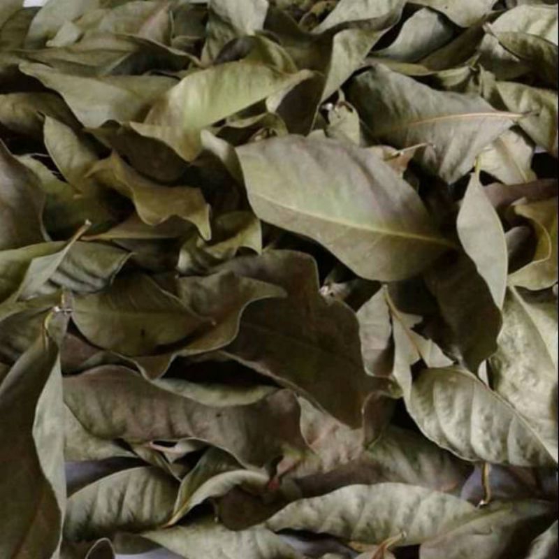 

Daun Salam Kering 500gr Kualitas Bagus