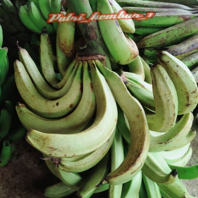 

pisang lampeneng segar
