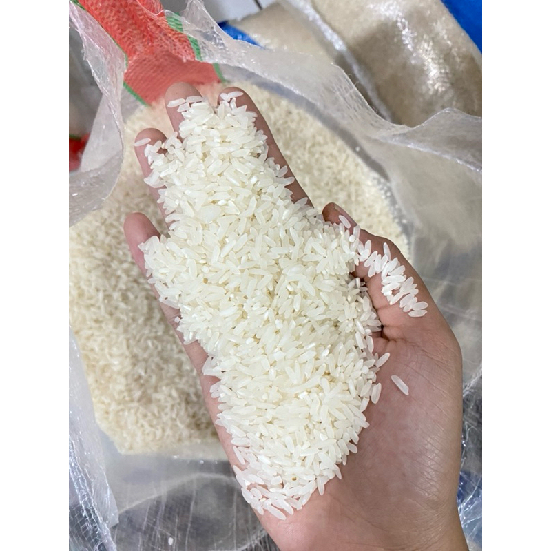 

BERAS PREMIUM SUPER PULEN 20kg