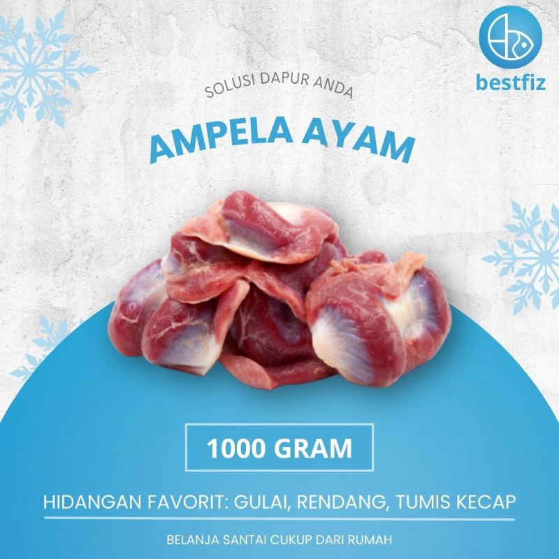 

Ampela Ayam