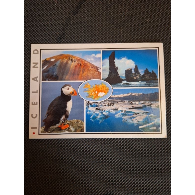 

kartu pos islandia/Puffin bird postcard
