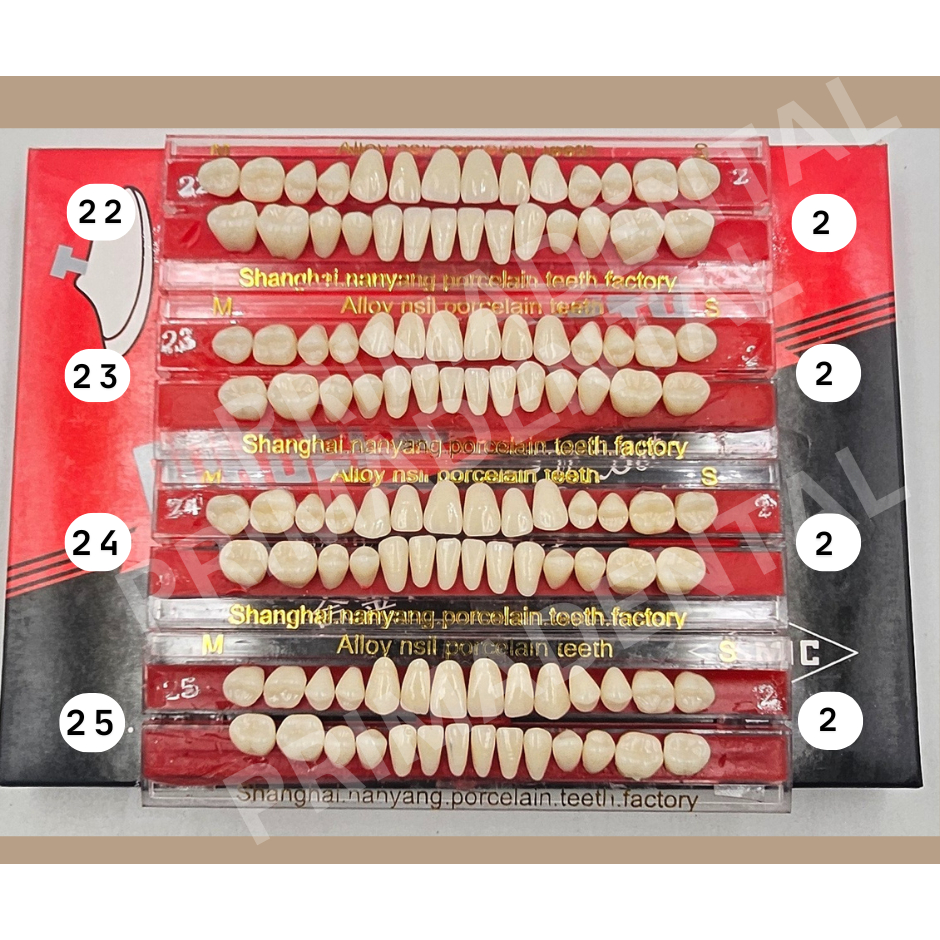 GIGI PALSU PORCELINE FULL SET EKONOMIS