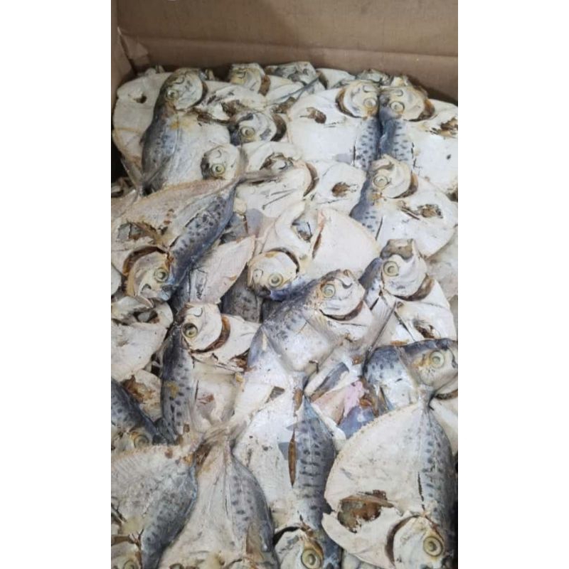 

Ikan asin semar / Ikan asin kapak 1kg