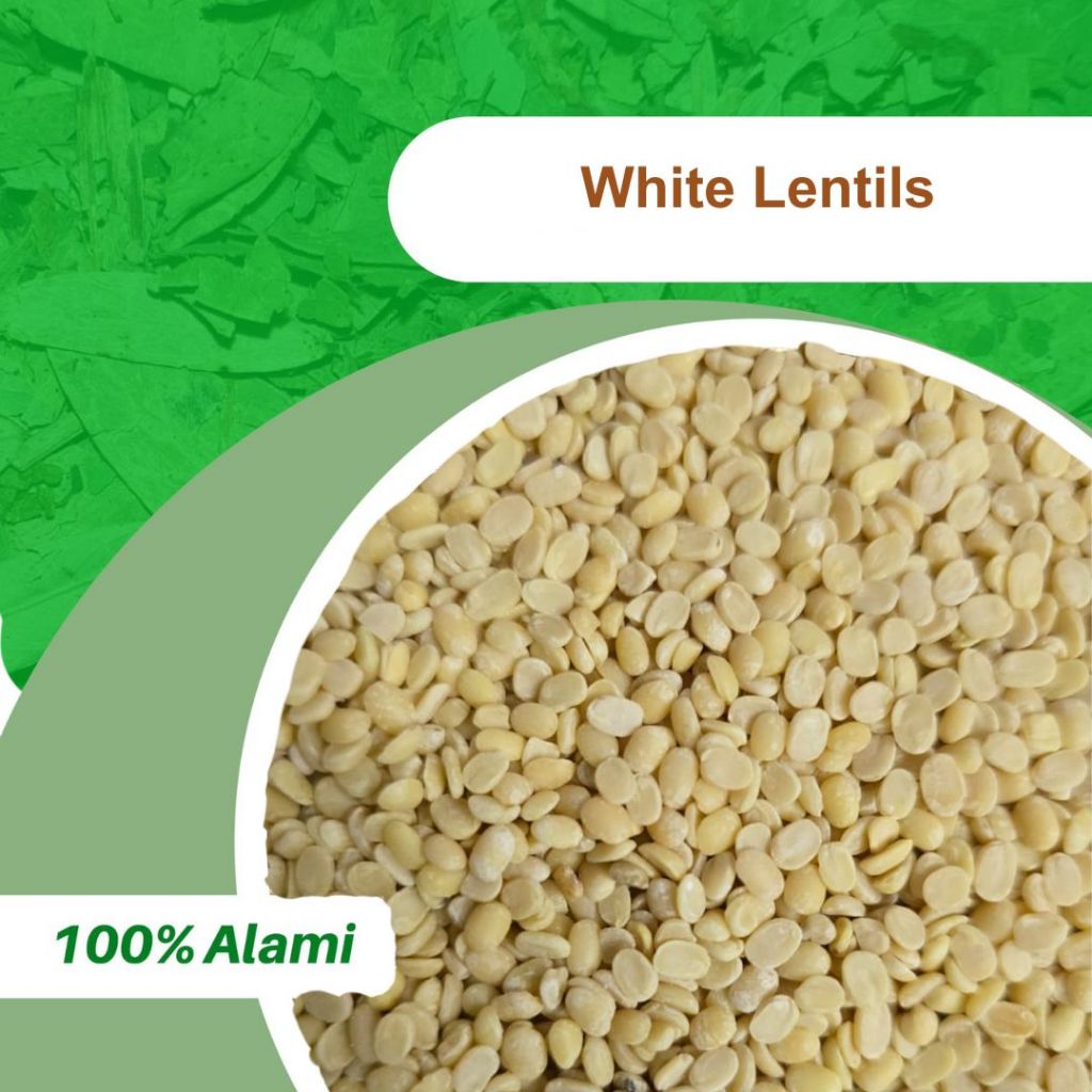 

100GR WHITE LENTILS / LENTIL PUTIH GADING ASLI 100%