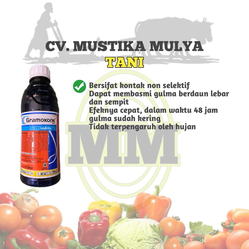 OBAT GRAMOXONE PEMBASMI ( RUMPUT/GULMA )