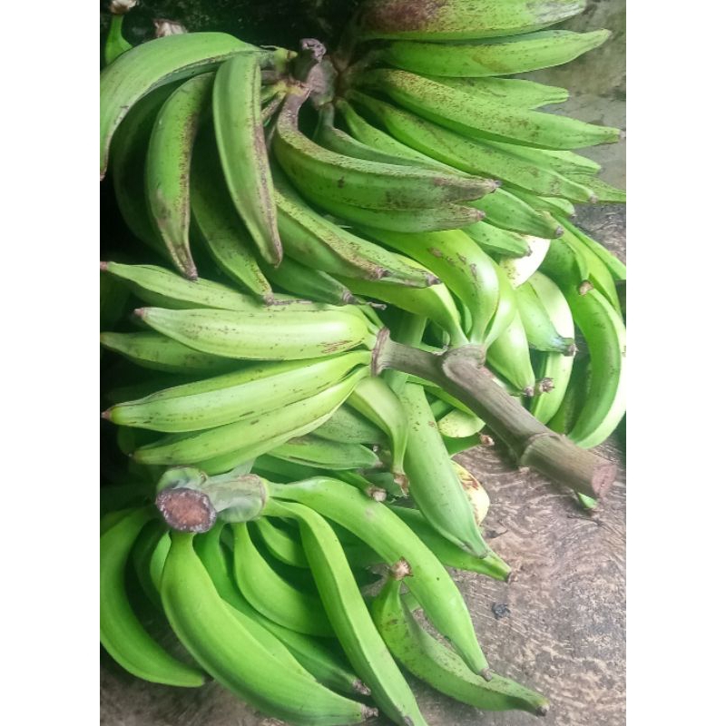 

pisang tanduk madu perkilo